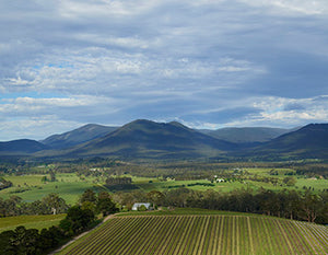 Springtime at Levantine Hill