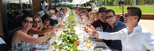 Regional World's Longest Lunch - "Things that Fly"