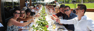 Regional World's Longest Lunch - "Things that Fly"