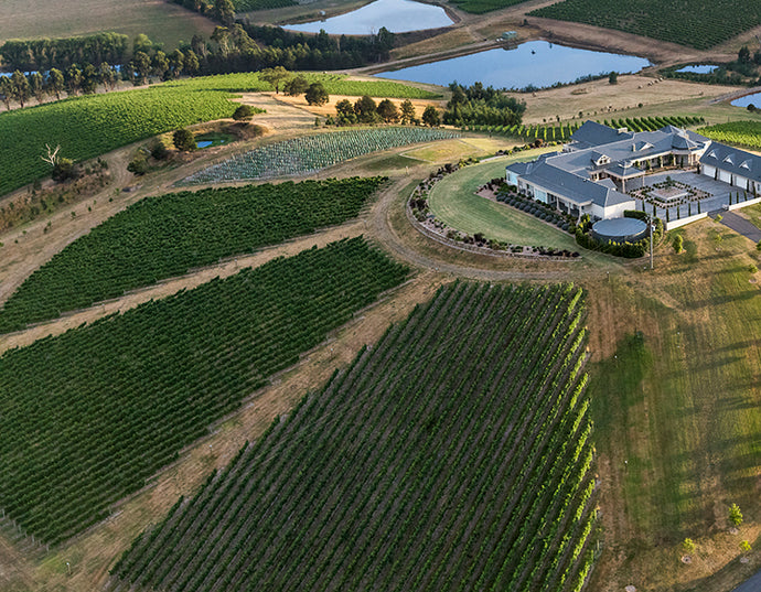 Wine Spotlight: Cabernet Sauvignon