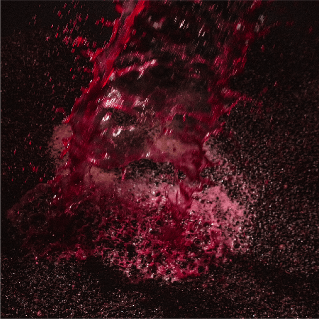 2021 Colleen's Paddock Pinot Noir - Levantine Hill