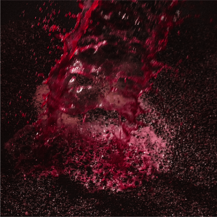 2021 Colleen's Paddock Pinot Noir - Levantine Hill