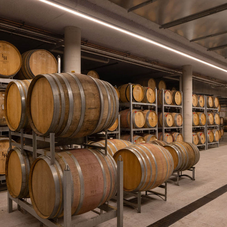 Hop It Exclusive Winemaking Experience - Levantine Hill