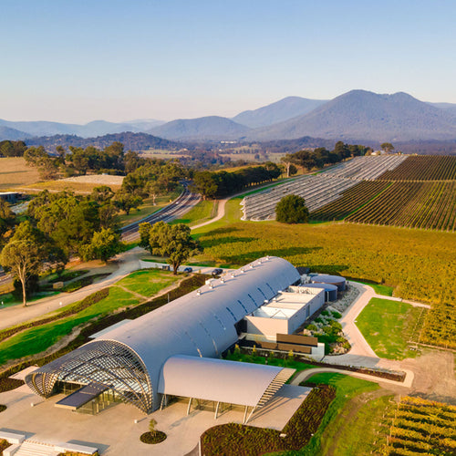 Behind the Scenes Winemaking Experience